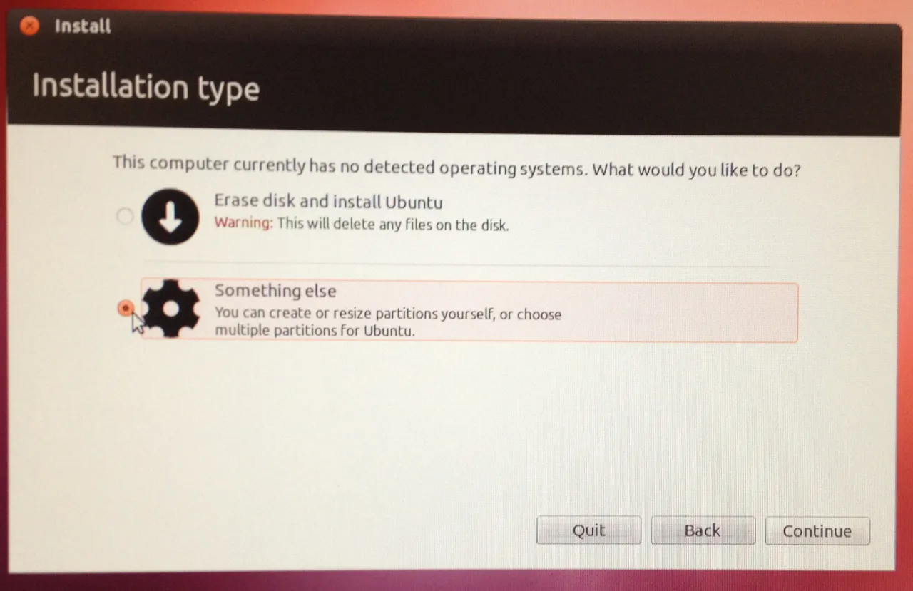 Ubuntu installation type - do not format